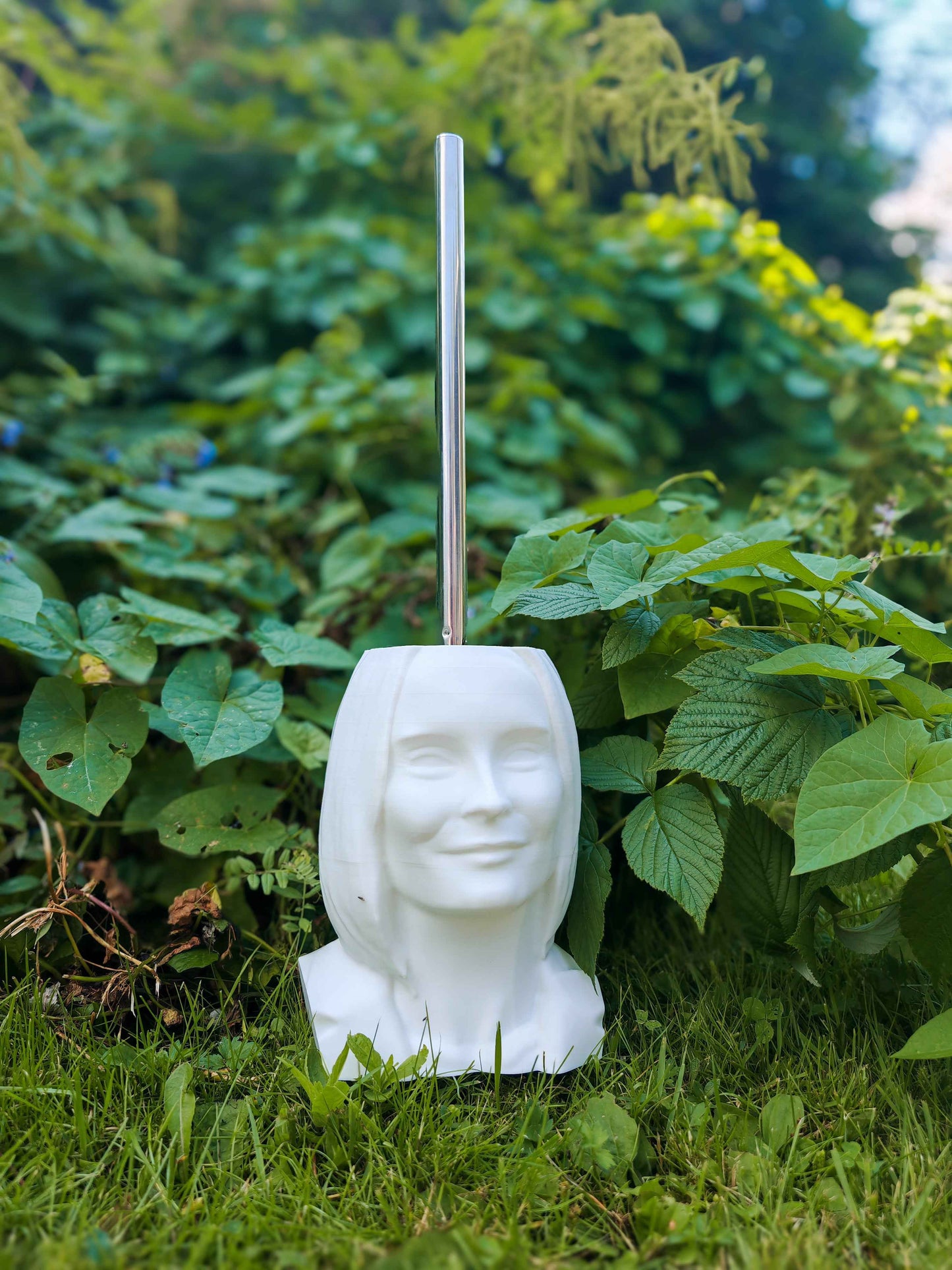 Rouva Pönttönen -vessaharjateline