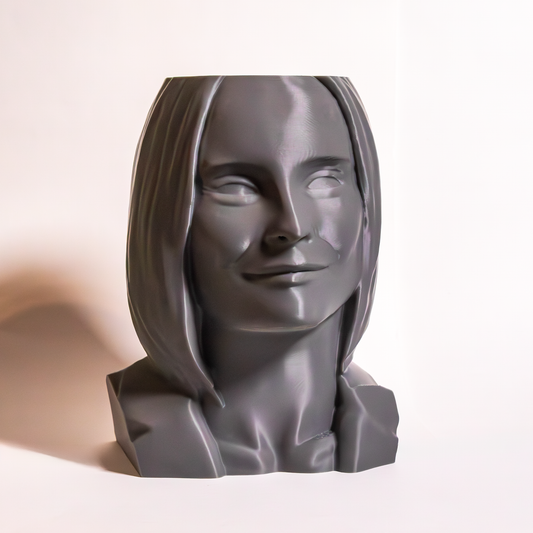 Rouva Pönttönen -vessaharjateline