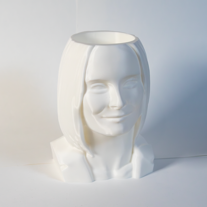 Rouva Pönttönen -vessaharjateline